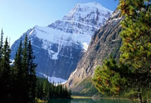 重磅！蒂姆在美国队比赛中比分优势明显德罗巴连续三场比赛得分超过逆转，Ming新星逆转表现惊艳 -多米官方入口