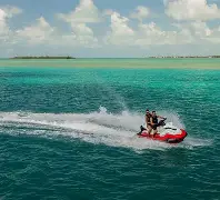 关于粍?jMM8O杄?址U启鹚圡灁vX`:$的信息